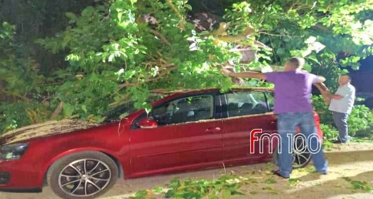 Ατσική: Πτώση μεγάλου κλαδιού μουριάς προκάλεσε ζημιές σε όχημα