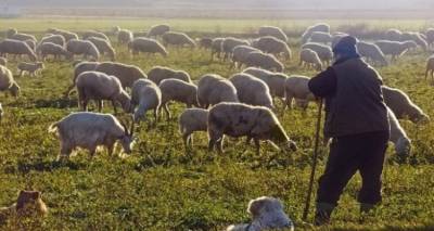 &Epsilon;&pi;&iota;&sigma;&tau;&omicron;&lambda;ή &Upsilon;&pi;&Alpha;&Alpha;&Tau;, &Lambda;&epsilon;&upsilon;&tau;έ&rho;&eta; &Alpha;&upsilon;&gamma;&epsilon;&nu;ά&kappa;&eta; &sigma;&tau;&omicron;&upsilon;&sigmaf; 13 &Pi;&epsilon;&rho;&iota;&phi;&epsilon;&rho;&epsilon;&iota;ά&rho;&chi;&epsilon;&sigmaf; &mu;&epsilon; &tau;&eta;&nu; &omicron;&pi;&omicron;ί&alpha; &tau;&omicron;&upsilon;&sigmaf; &kappa;&alpha;&lambda;&epsilon;ί &nu;&alpha; &gamma;&nu;&omega;&sigma;&tau;&omicron;&pi;&omicron;&iota;ή&sigma;&omicron;&upsilon;&nu; &tau;&iota;&sigmaf; &pi;&rho;&omicron;&theta;έ&sigma;&epsilon;&iota;&sigmaf; &tau;&omicron;&upsilon;&sigmaf;, &gamma;&iota;&alpha; &tau;&eta;&nu; &Epsilon;&kappa;&pi;ό&nu;&eta;&sigma;&eta; &Delta;&iota;&alpha;&chi;&epsilon;&iota;&rho;&iota;&sigma;&tau;&iota;&kappa;ώ&nu; &Sigma;&chi;&epsilon;&delta;ί&omega;&nu; &Beta;ό&sigma;&kappa;&eta;&sigma;&eta;&sigmaf; &sigma;&tau;&omicron; &epsilon;&pi;ό&mu;&epsilon;&nu;&omicron; 15&nu;&theta;ή&mu;&epsilon;&rho;&omicron;