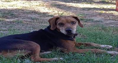 &Tau;&omicron;&nu; &psi;ά&chi;&nu;&epsilon;&iota; &kappa;&alpha;&nu;&epsilon;ί&sigmaf;;