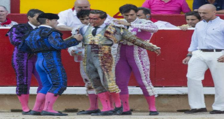 &Theta;ά&nu;&alpha;&tau;&omicron;&sigmaf; &sigma;&tau;&eta;&nu; &alpha;&rho;έ&nu;&alpha; &gamma;&iota;&alpha; &delta;&iota;ά&sigma;&eta;&mu;&omicron; &tau;&alpha;&upsilon;&rho;&omicron;&mu;ά&chi;&omicron; | "&Beta;&iota;&alpha;&sigma;&tau;&epsilon;ί&tau;&epsilon;, &pi;&epsilon;&theta;&alpha;ί&nu;&omega;" (photos + videos)