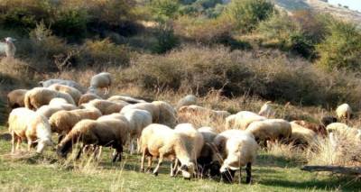 Ζεστάθηκαν οι τσέπες κτηνοτρόφων και γεωργών σε Λήμνο και Λέσβο