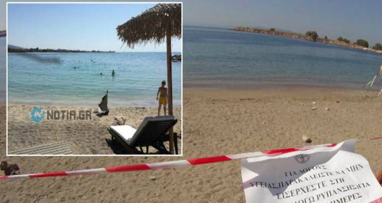 &Alpha;&pi;ί&sigma;&tau;&epsilon;&upsilon;&tau;&omicron;: &Mu;&iota;&kappa;&rho;ά &pi;&alpha;&iota;&delta;&iota;ά &kappa;ά&nu;&omicron;&upsilon;&nu; &mu;&pi;ά&nu;&iota;&omicron; &sigma;&tau;&alpha; &mu;&omicron;&lambda;&upsilon;&sigma;&mu;έ&nu;&alpha; &nu;&epsilon;&rho;ά &tau;&omicron;&upsilon; &Alpha;&lambda;ί&mu;&omicron;&upsilon; (photos + video)