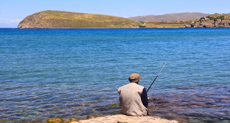 Φωτογραφία: Θεόδωρος Μπαβέας