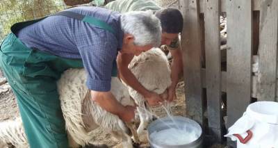 &Epsilon;&rho;ώ&tau;&eta;&sigma;&eta; &gamma;&iota;&alpha; &tau;&alpha; &pi;&rho;&omicron;&beta;&lambda;ή&mu;&alpha;&tau;&alpha; &tau;&omega;&nu; &kappa;&tau;&eta;&nu;&omicron;&tau;&rho;ό&phi;&omega;&nu;