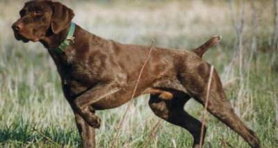 &Phi;&omega;&tau;&omicron;&gamma;&rho;&alpha;&phi;ί&alpha; &alpha;&rho;&chi;&epsilon;ί&omicron;&upsilon;