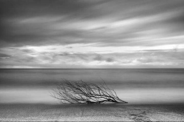 Μέλη της Φωτογραφικής Ομάδας Λήμνου διακρίνονται σε εκθέσεις και διαγωνισμούς της Ελλάδας και του εξωτερικού