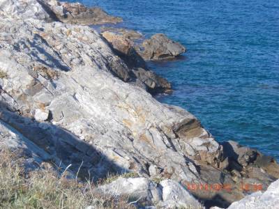 &Eta; &tau;&rho;&alpha;&gamma;&omega;&delta;ί&alpha; &sigma;&tau;&eta; &Lambda;έ&sigma;&beta;&omicron;, &phi;έ&rho;&nu;&epsilon;&iota; &pi;&rho;ό&tau;&alpha;&sigma;&eta; &gamma;&iota;&alpha; &alpha;&nu;ά&pi;&tau;&upsilon;&xi;&eta; &tau;&eta;&sigmaf; Frontex &sigma;&tau;&eta; &Tau;&omicron;&upsilon;&rho;&kappa;ί&alpha;