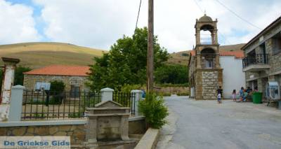 Δάφνη: Τα αποτελέσματα της τοπικής κοινότητας