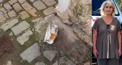 &Lambda;ή&mu;&nu;&omicron;&sigmaf;: &Pi;&alpha;&rho;έ&mu;&beta;&alpha;&sigma;&eta; &tau;&eta;&sigmaf; Ά&nu;&nu;&alpha;&sigmaf; &Tau;&omicron;&sigma;&omicron;ύ&nu;&omicron;&gamma;&lambda;&omicron;&upsilon; &gamma;&iota;&alpha; &tau;&omicron;&nu; &tau;&rho;ό&pi;&omicron; &sigma;ί&tau;&iota;&sigma;&eta;&sigmaf; &tau;&omega;&nu; &alpha;&delta;έ&sigma;&pi;&omicron;&tau;&omega;&nu; | &laquo;Ό&chi;&iota; ά&lambda;&lambda;&omicron; &phi;&alpha;&gamma;&eta;&tau;ό &sigma;&epsilon; &alpha;&lambda;&omicron;&upsilon;&mu;&iota;&nu;ό&chi;&alpha;&rho;&tau;&alpha; &sigma;&tau;&omicron;&upsilon;&sigmaf; &delta;&rho;ό&mu;&omicron;&upsilon;&sigmaf;&raquo;