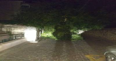 &Phi;&omega;&tau;ό: &Sigma;&omega;&tau;&eta;&rho;ί&alpha; &Sigma;&omicron;&upsilon;&pi;&iota;&omicron;ύ