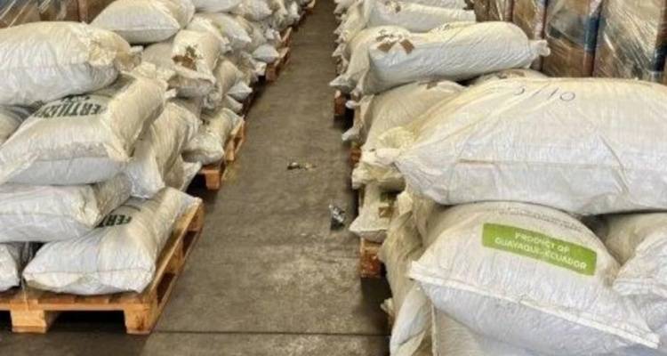 &Pi;&epsilon;&iota;&rho;&alpha;&iota;ά&sigmaf;: H &Alpha;&Alpha;&Delta;&Epsilon; &epsilon;&nu;&tau;ό&pi;&iota;&sigma;&epsilon; &tau;&epsilon;&rho;ά&sigma;&tau;&iota;&alpha; &pi;&omicron;&sigma;ό&tau;&eta;&tau;&alpha; &phi;ύ&lambda;&lambda;&omega;&nu; &kappa;&omicron;&kappa;&alpha;ΐ&nu;&eta;&sigmaf; &sigma;&epsilon; &phi;&omicron;&rho;&tau;ί&alpha; &lambda;&iota;&pi;&alpha;&sigma;&mu;ά&tau;&omega;&nu;