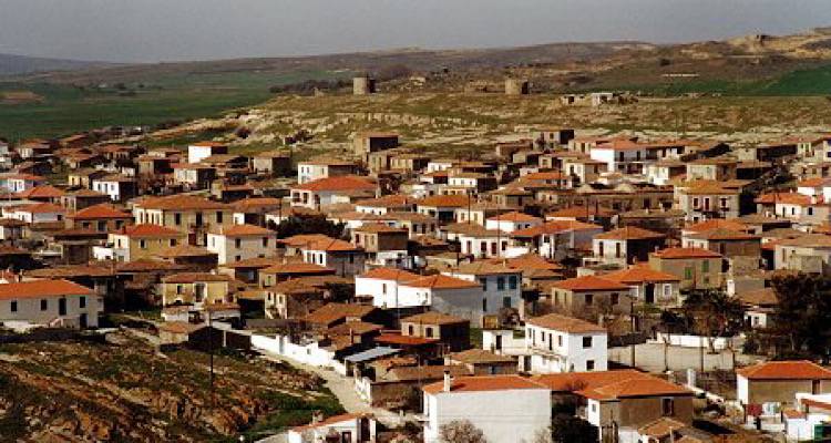 Λήμνος: Και την Πρωτοχρονιά οι μοναχικοί του Βάρος δεν έμειναν μόνοι…