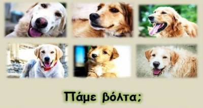 &Tau;&alpha; &alpha;&delta;&epsilon;&sigma;&pi;&omicron;&tau;ά&kappa;&iota;&alpha; &tau;&eta;&sigmaf; &Lambda;ή&mu;&nu;&omicron;&upsilon; "&pi;ά&nu;&epsilon; &beta;ό&lambda;&tau;&alpha;"