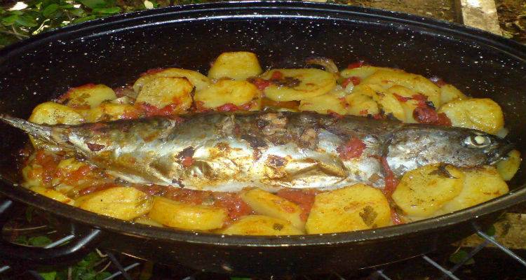 Στη Λήμνο όλοι τρώνε παλαμίδα