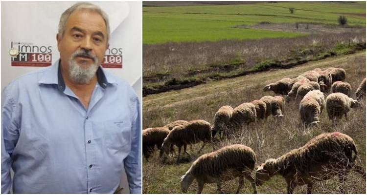 Αδαμίδης: Ευθύνη της Δ/νσης Κτηνιατρικής η σωστή λειτουργία του Τμήματος στην Λήμνο