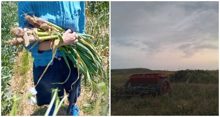 &Gamma;&iota;&alpha; &pi;&rho;ώ&tau;&eta; &phi;&omicron;&rho;ά &kappa;&lambda;&alpha;&sigma;&iota;&kappa;ή &mu;&omicron;&upsilon;&sigma;&iota;&kappa;ή &sigma;&tau;&eta;&nu; &Eta;&phi;&alpha;&iota;&sigma;&tau;ί&alpha;