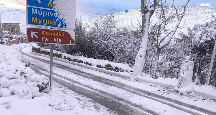 &Phi;&omega;&tau;ό: &Pi;&alpha;&nu;&alpha;&gamma;&iota;ώ&tau;&eta;&sigmaf; &Sigma;&phi;&upsilon;&rho;ή&sigmaf;