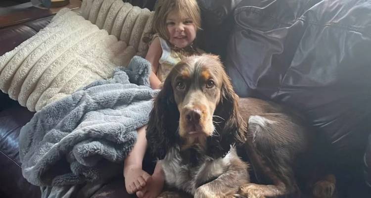 &Delta;ί&chi;&rho;&omicron;&nu;&omicron; &kappa;&omicron;&rho;ί&tau;&sigma;&iota; &beta;&rho;έ&theta;&eta;&kappa;&epsilon; &sigma;&tau;&omicron; &delta;ά&sigma;&omicron;&sigmaf; &nu;&alpha; &kappa;&omicron;&iota;&mu;ά&tau;&alpha;&iota; &mu;&epsilon; &mu;&alpha;&xi;&iota;&lambda;ά&rho;&iota; &tau;&omicron;&nu; έ&nu;&alpha;&nu; &sigma;&kappa;ύ&lambda;&omicron; &tau;&eta;&sigmaf; &kappa;&alpha;&iota; &phi;ύ&lambda;&alpha;&kappa;&alpha; &tau;&omicron;&nu; ά&lambda;&lambda;&omicron;&nu;