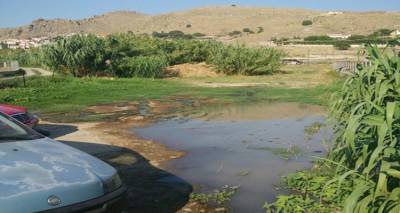 &Sigma;&pi;&omicron;&upsilon;&delta;&alpha;ί&alpha; &epsilon;&xi;έ&lambda;&iota;&xi;&eta; &gamma;&iota;&alpha; &tau;&omicron;&nu; &Pi;&lambda;&alpha;&tau;ύ | &Upsilon;&pi;&epsilon;&gamma;&rho;ά&phi;&eta; &eta; &sigma;ύ&mu;&beta;&alpha;&sigma;&eta; &gamma;&iota;&alpha; &tau;&alpha; &lambda;ύ&mu;&alpha;&tau;&alpha;