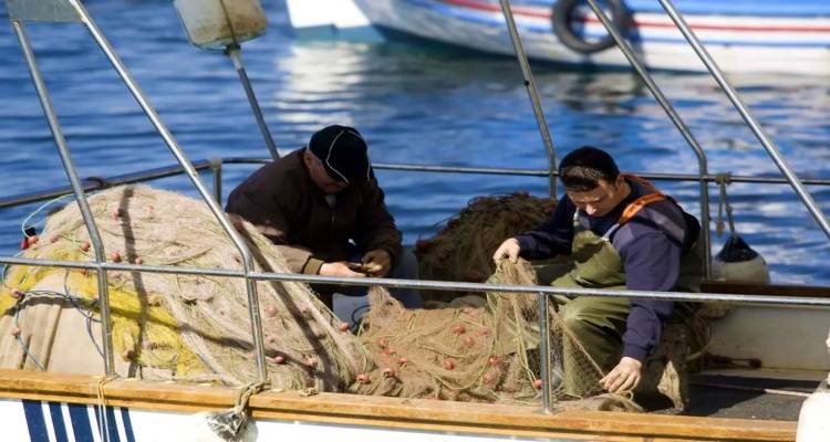 Αλιείς Λήμνου: Πρόσκληση για υποβολή αιτήσεων για οικονομική ενίσχυση για κατάργηση του γρίπου σε βιντζότρατες