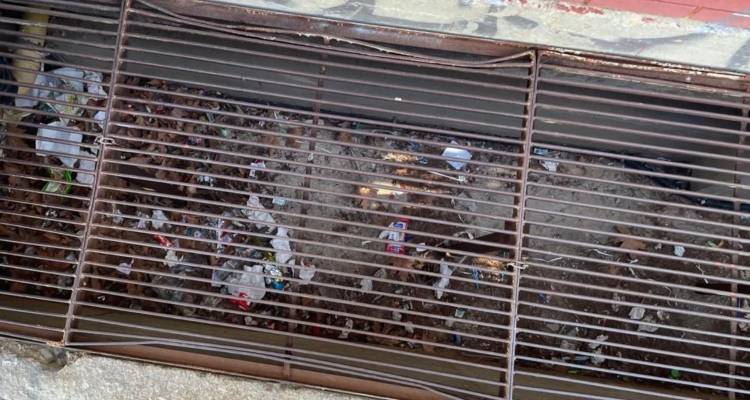 Bullying &sigma;&tau;&eta; &Nu;έ&alpha; &Iota;&omega;&nu;ί&alpha;: &Sigma;&upsilon;&gamma;&kappa;&lambda;&omicron;&nu;ί&zeta;&epsilon;&iota; &omicron; &pi;&alpha;&tau;έ&rho;&alpha;&sigmaf; &tau;&omicron;&upsilon; 12&chi;&rho;&omicron;&nu;&omicron;&upsilon; &tau;&omicron;&nu; &omicron;&pi;&omicron;ί&omicron; &sigma;&upsilon;&mu;&mu;&alpha;&theta;&eta;&tau;έ&sigmaf; &tau;&omicron;&upsilon; έ&kappa;&lambda;&epsilon;&iota;&sigma;&alpha;&nu; &sigma;&epsilon; &phi;&rho;&epsilon;ά&tau;&iota;&omicron;