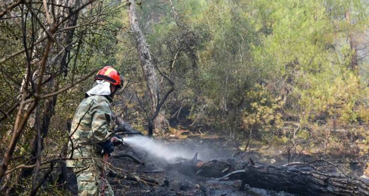 Βουλή: «Όχι» ΣΥΡΙΖΑ στη συνδρομή στρατού σε φυσικές καταστροφές, 6 χρόνια μετά το Μάτι -«Απρέπεια και κατάντια»