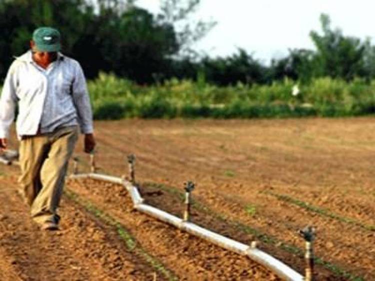 Ξεκίνησε η υποβολή αιτήσεων Ενιαίας Ενίσχυσης 2013