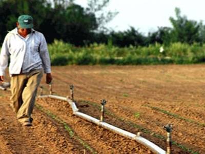 Ξεκίνησε η υποβολή αιτήσεων Ενιαίας Ενίσχυσης 2013