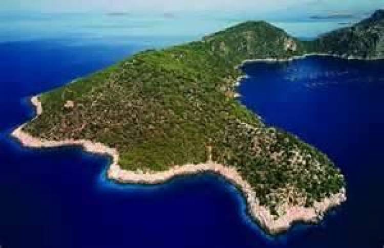 &Omicron; &epsilon;&mu;ί&rho;&eta;&sigmaf; &tau;&omicron;&upsilon; &Kappa;&alpha;&tau;ά&rho; &alpha;&gamma;ό&rho;&alpha;&sigma;&epsilon; &epsilon;&lambda;&lambda;&eta;&nu;&iota;&kappa;ό &nu;&eta;&sigma;ί &sigma;&tau;&omicron; &Iota;ό&nu;&iota;&omicron;