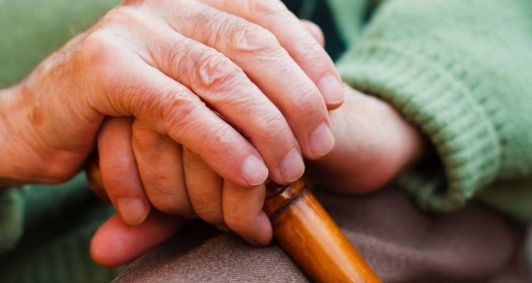 Μαθητές του Δημοτικού Σχολείου Μούδρου στο Κ.Η.Φ.Η Λήμνου | Ευχαριστίες από τον ΟΚΠΑ του Δήμου