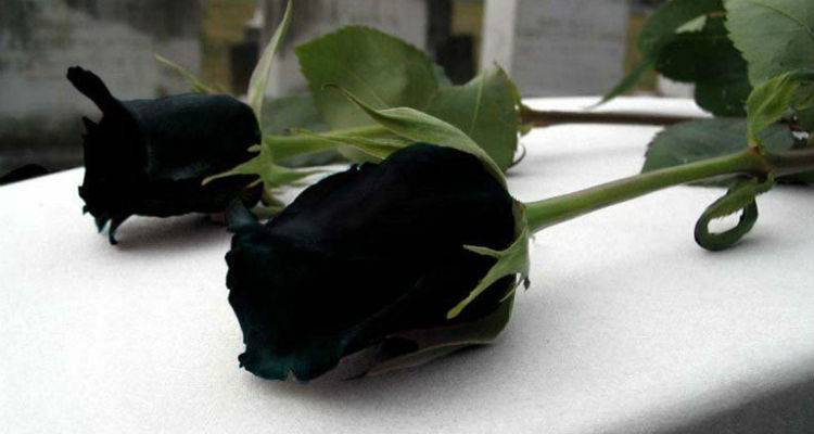 &quot;Θρηνεί η οικογένεια των εργαζομένων του Νοσοκομείου Λήμνου&quot;