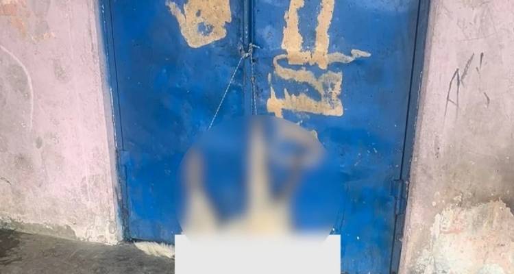 &Phi;&rho;ί&kappa;&eta; &sigma;&tau;&eta;&nu; &Kappa;&alpha;&rho;&delta;ί&tau;&sigma;&alpha;: &Kappa;&rho;έ&mu;&alpha;&sigma;&alpha;&nu; &nu;&epsilon;&kappa;&rho;ό &sigma;&kappa;&upsilon;&lambda;ί &sigma;&tau;&eta;&nu; &pi;ό&rho;&tau;&alpha; &delta;&eta;&mu;&omicron;&tau;&iota;&kappa;&omicron;ύ &sigma;&chi;&omicron;&lambda;&epsilon;ί&omicron;&upsilon;
