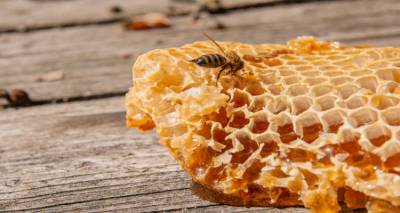 &Lambda;ή&mu;&nu;&omicron;&sigmaf;: &Pi;ά&rho;&epsilon; &mu;έ&rho;&omicron;&sigmaf; &sigma;&tau;&eta; &mu;&epsilon;&lambda;έ&tau;&eta; &delta;&omicron;&kappa;&iota;&mu;ή&sigmaf; &mu;&epsilon;&lambda;&iota;ώ&nu;