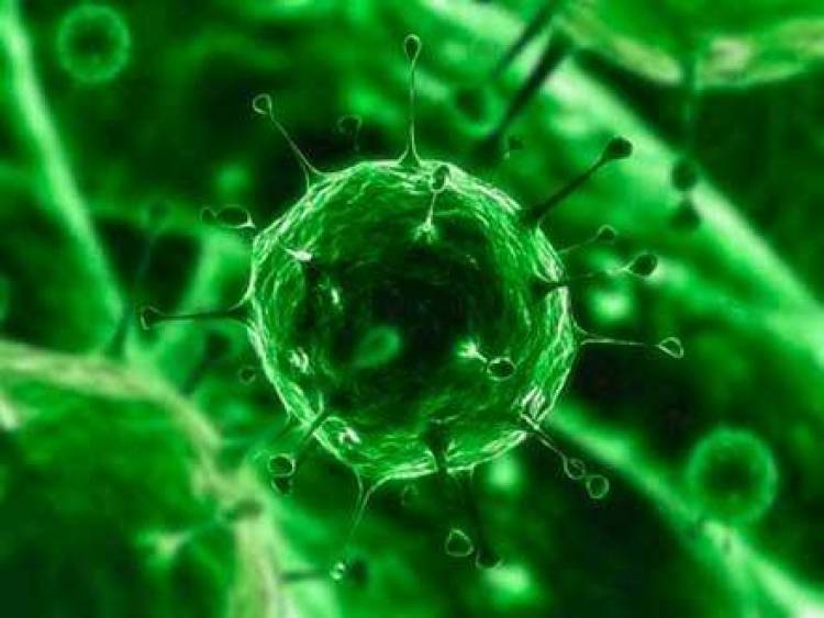 &Epsilon;&xi;&alpha;&rho;&sigma;&eta; &tau;&omicron;&upsilon; H1N1 &mu;&epsilon; 12 &nu;&epsilon;&kappa;&rho;&omicron;ύ&sigmaf; &kappa;&alpha;&iota; &delta;&epsilon;&kappa;ά&delta;&epsilon;&sigmaf; &nu;&omicron;&sigma;&omicron;ύ&nu;&tau;&epsilon;&sigmaf;