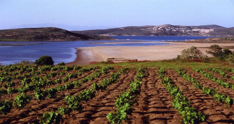 Πανηγυρίζει η Αγία Μαρίνα στο φράγμα της Λήμνου