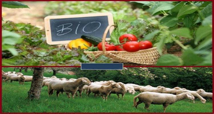 &Pi;&rho;ό&sigma;&kappa;&lambda;&eta;&sigma;&eta; &gamma;&iota;&alpha; &sigma;&upsilon;&mu;&mu;&epsilon;&tau;&omicron;&chi;ή &Lambda;&eta;&mu;&nu;&iota;ώ&nu; &sigma;&tau;&alpha; &nu;έ&alpha; &pi;&rho;&omicron;&gamma;&rho;ά&mu;&mu;&alpha;&tau;&alpha; &Beta;&iota;&omicron;&lambda;&omicron;&gamma;&iota;&kappa;ή&sigmaf; &Gamma;&epsilon;&omega;&rho;&gamma;ί&alpha;&sigmaf; &kappa;&alpha;&iota; &Kappa;&tau;&eta;&nu;&omicron;&tau;&rho;&omicron;&phi;ί&alpha;&sigmaf;