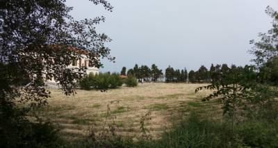 Παλλημνιακό Ταμείο: Κατέθεσε προτάσεις για κοινωφελή χρήση του Αντωνιάδειου οικοπέδου