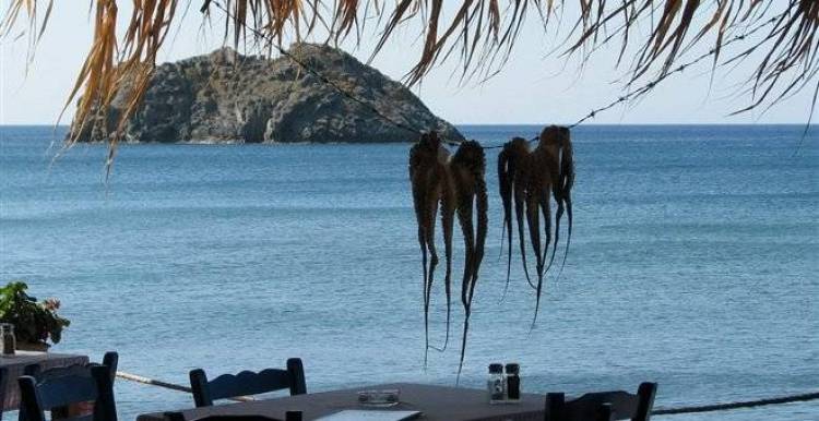 &Omicron;&Omicron;&Sigma;&Alpha;: &Sigma;&epsilon; &alpha;&rho;&kappa;&epsilon;&tau;ά &kappa;&alpha;&lambda;ό &epsilon;&pi;ί&pi;&epsilon;&delta;&omicron; &omicron; &delta;&epsilon;ί&kappa;&tau;&eta;&sigmaf; &epsilon;&upsilon;&eta;&mu;&epsilon;&rho;ί&alpha;&sigmaf; &tau;&eta;&sigmaf; &Epsilon;&lambda;&lambda;ά&delta;&alpha;&sigmaf; (infographic)