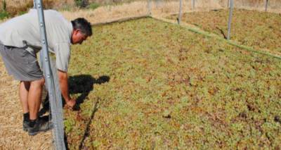 &Phi;&omega;&tau;&omicron;&gamma;&rho;&alpha;&phi;ί&alpha;: eklektikon.com