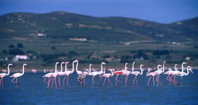 &Sigma;&tau;&eta; &Lambda;ή&mu;&nu;&omicron; &omicron;&iota; &mu;&epsilon;&gamma;&alpha;&lambda;ύ&tau;&epsilon;&rho;&omicron;&iota; &upsilon;&gamma;&rho;ό&tau;&omicron;&pi;&omicron;&iota; &tau;&omicron;&upsilon; &Alpha;&iota;&gamma;&alpha;ί&omicron;&upsilon;