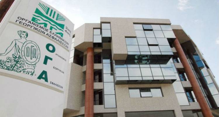 &Tau;&eta;&nu; &Pi;&alpha;&rho;&alpha;&sigma;&kappa;&epsilon;&upsilon;ή &theta;&alpha; &delta;&omicron;&theta;&omicron;ύ&nu; &tau;&alpha; &omicron;&iota;&kappa;&omicron;&gamma;&epsilon;&nu;&epsilon;&iota;&alpha;&kappa;ά &epsilon;&pi;&iota;&delta;ό&mu;&alpha;&tau;&alpha; &tau;&omicron;&upsilon; &Omicron;&Gamma;&Alpha;