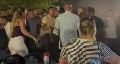 &Alpha;&gamma;&rho;ί&nu;&iota;&omicron;: Ά&gamma;&rho;&iota;&omicron; &xi;ύ&lambda;&omicron; &sigma;&epsilon; &pi;&alpha;&nu;&eta;&gamma;ύ&rho;&iota; &sigma;&tau;&alpha; &Sigma;&iota;&tau;&alpha;&rho;ά&lambda;&omega;&nu;&alpha; &mu;&epsilon; &tau;&eta; &Gamma;&omega;&gamma;ώ &Tau;&sigma;&alpha;&mu;&pi;ά - &Delta;&epsilon;ί&tau;&epsilon; &beta;ί&nu;&tau;&epsilon;&omicron;