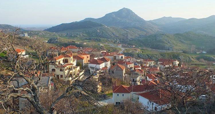 Λήμνος: 9 rapid test διενεργήθηκαν σήμερα στον Κορνό | Όλα αρνητικά