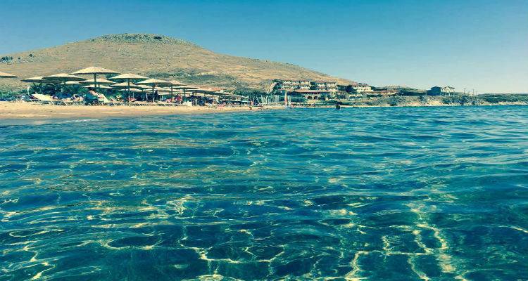 Έ&rho;&chi;&epsilon;&tau;&alpha;&iota; &alpha;&phi;&rho;&iota;&kappa;&alpha;&nu;&iota;&kappa;ό&sigmaf; &kappa;&alpha;ύ&sigma;&omega;&nu;&alpha;&sigmaf; | &Sigma;&tau;&omicron;&upsilon;&sigmaf; 37 &beta;&alpha;&theta;&mu;&omicron;ύ&sigmaf; &eta; &theta;&epsilon;&rho;&mu;&omicron;&kappa;&rho;&alpha;&sigma;ί&alpha; &alpha;&pi;ό &tau;&eta;&nu; &Pi;έ&mu;&pi;&tau;&eta; &sigma;&tau;&eta; &Lambda;ή&mu;&nu;&omicron;