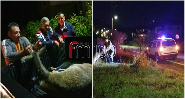 Λήμνος - Συμβαίνει τώρα: Αυτοκίνητο συγκρούστηκε με πλατώνι (photos)