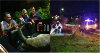 Λήμνος - Συμβαίνει τώρα: Αυτοκίνητο συγκρούστηκε με πλατώνι (photos)