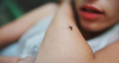 Επαρχείο Λήμνου: Οδηγίες προφύλαξης από τα κουνούπια