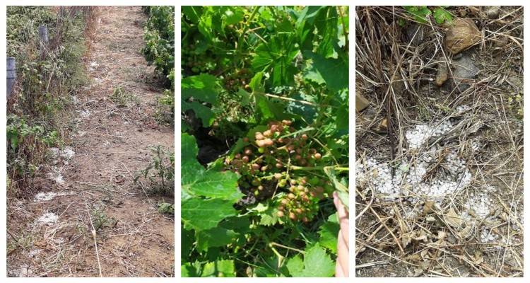 Έριξε χαλάζι σε περιοχές της Λήμνου (photos)