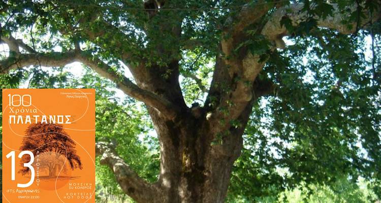 Λήμνος: Πάρτυ κάτω από τον αιωνόβιο πλάτανο του χωριού ετοιμάζουν οι Αγκαρυώνες