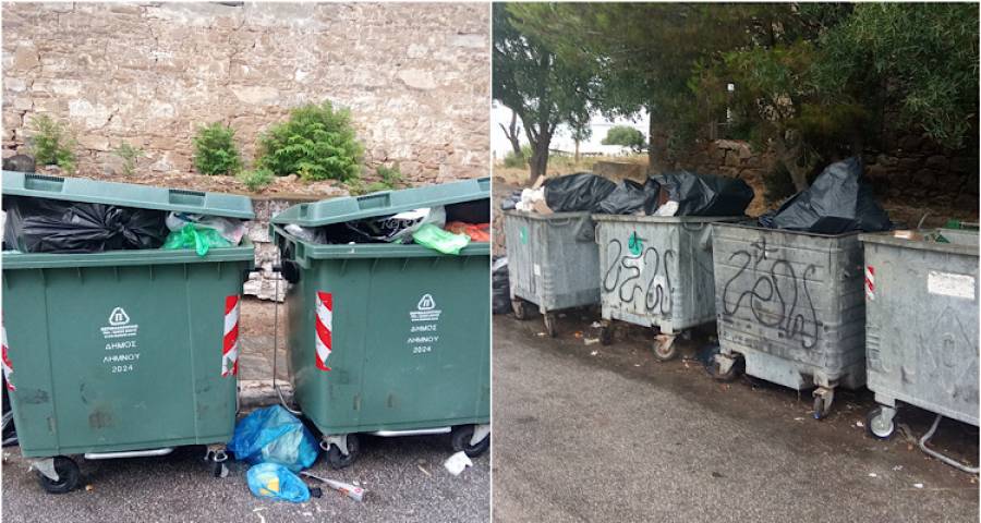 &Tau;&omicron;&upsilon;&lambda;&alpha;&delta;έ&lambda;&eta;&sigmaf;: &Epsilon;&iota;&kappa;ό&nu;&epsilon;&sigmaf; &epsilon;&gamma;&kappa;&alpha;&tau;ά&lambda;&epsilon;&iota;&psi;&eta;&sigmaf; &sigma;&tau;&omicron;&nu; &Mu;&omicron;ύ&delta;&rho;&omicron; | &Kappa;ί&nu;&delta;&upsilon;&nu;&omicron;&sigmaf; &gamma;&iota;&alpha; &tau;&eta; &delta;&eta;&mu;ό&sigma;&iota;&alpha; &upsilon;&gamma;&epsilon;ί&alpha; &alpha;&pi;ό &sigma;&kappa;&omicron;&upsilon;&pi;ί&delta;&iota;&alpha; &kappa;&alpha;&iota; &upsilon;&pi;&epsilon;&rho;&chi;&epsilon;&iota;&lambda;&iota;&sigma;&mu;έ&nu;&omicron;&upsilon;&sigmaf; &beta;ό&theta;&rho;&omicron;&upsilon;&sigmaf;